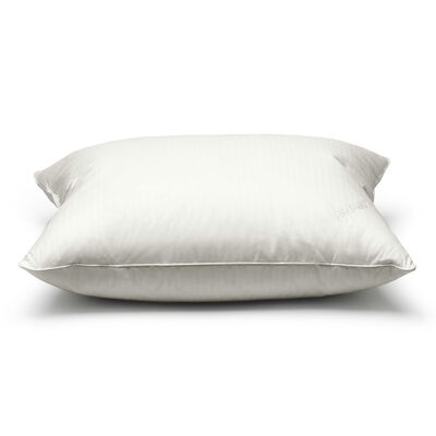 Firm Pillow (Extra High)