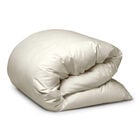 Paisley Down Quilt Cover image number 0